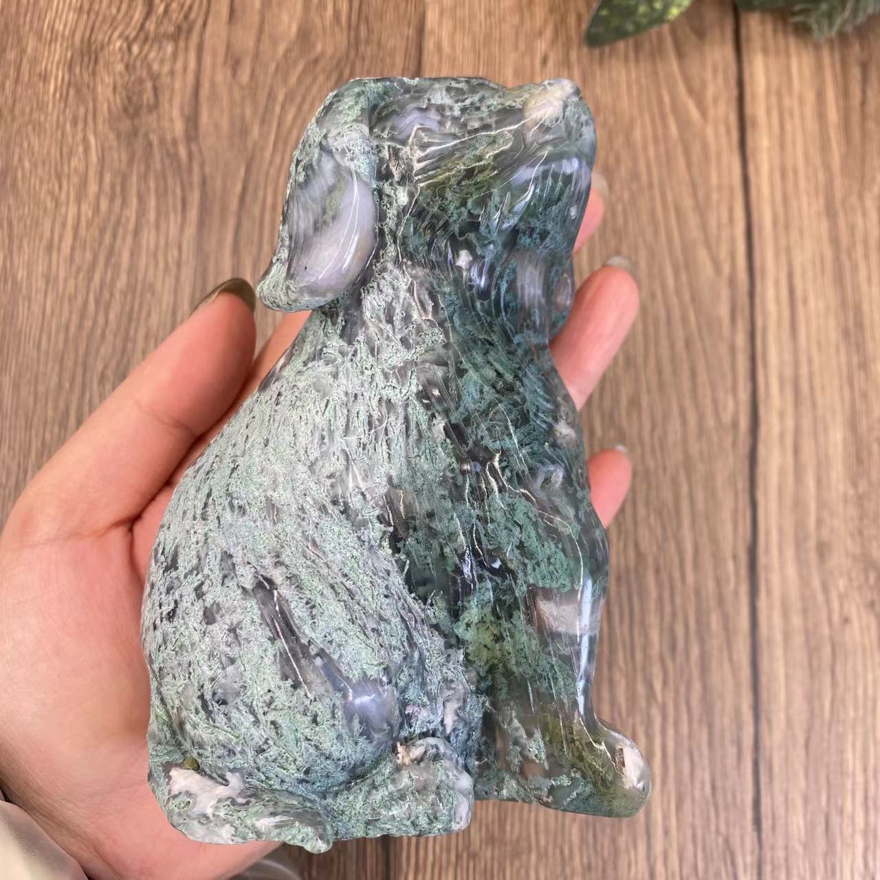 -天然苔アガタ犬 9*6*13cm 1.7ポンド