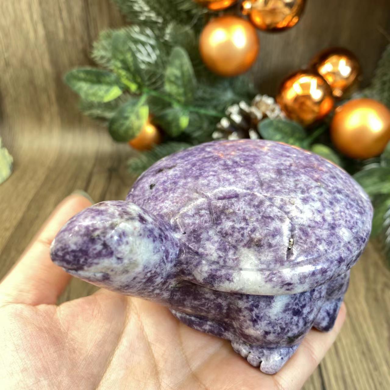 -天然の鱗翅目亀 12*9*6cm 1.5ポンド