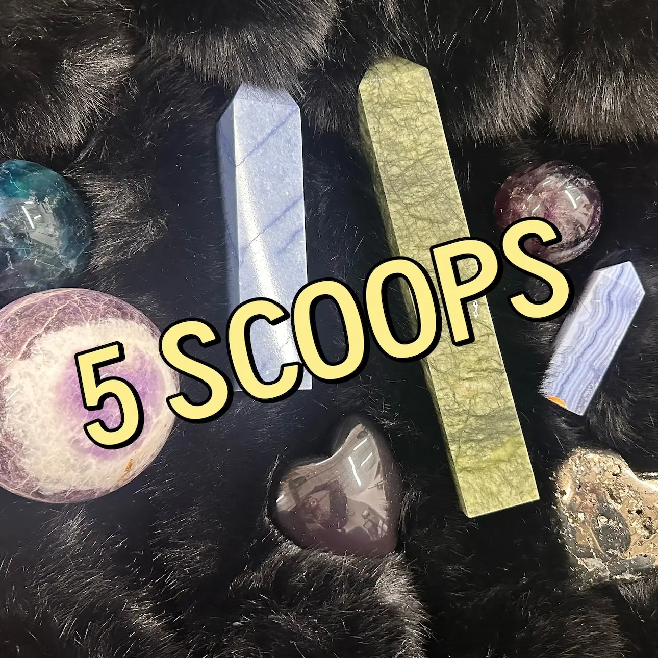 5 SCOOPS