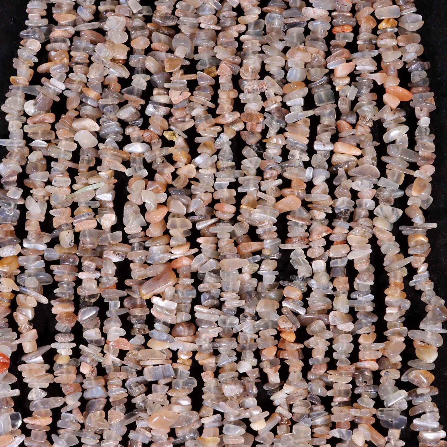 Bradde chain ①#10 random