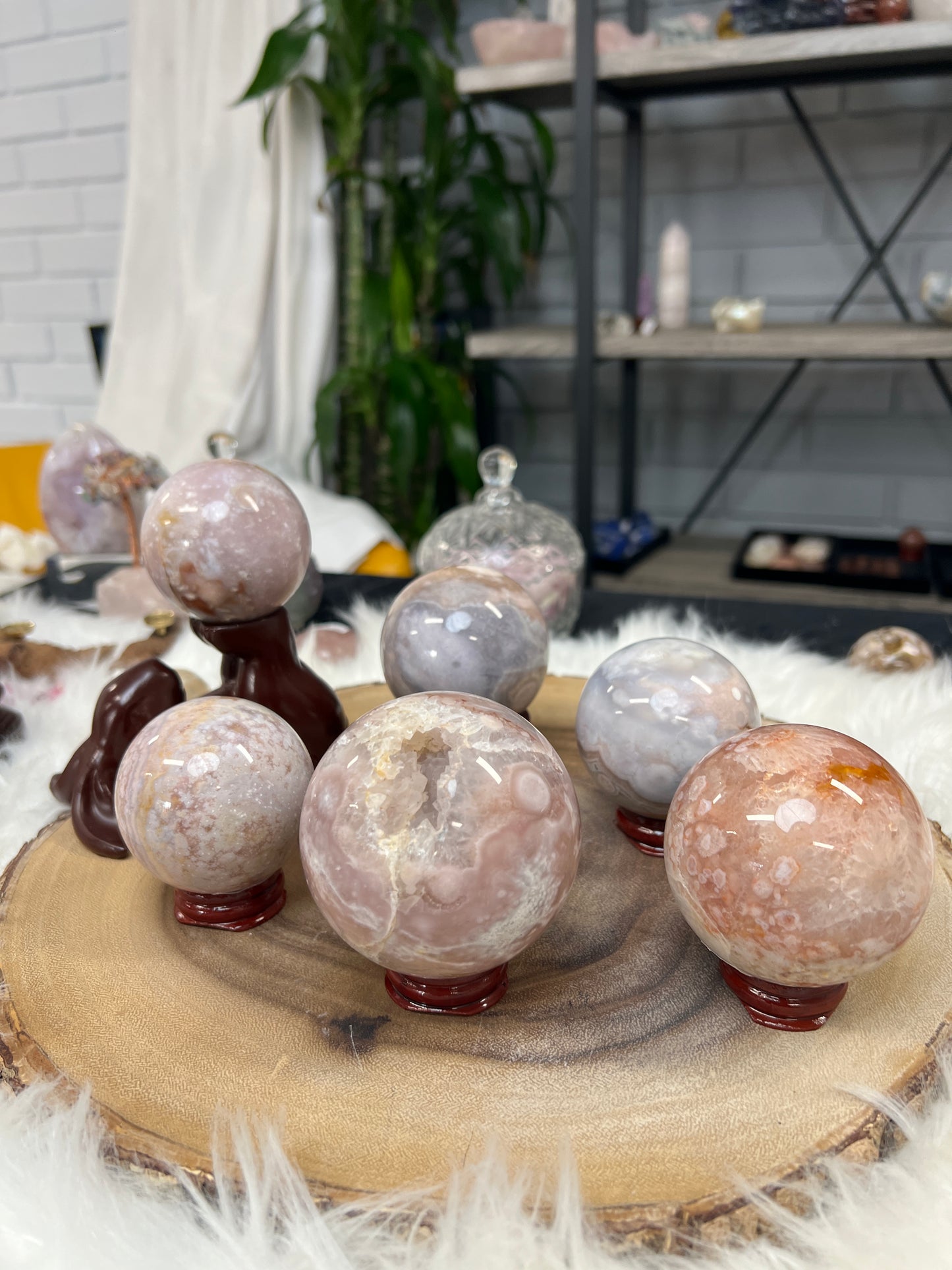 Flower Agate Spheres