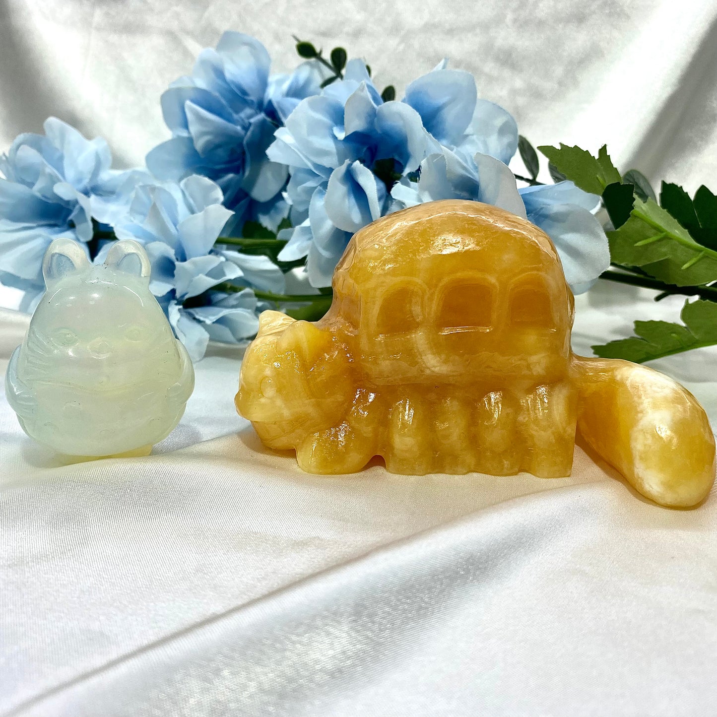 小型オパリテトトロチンチラバス