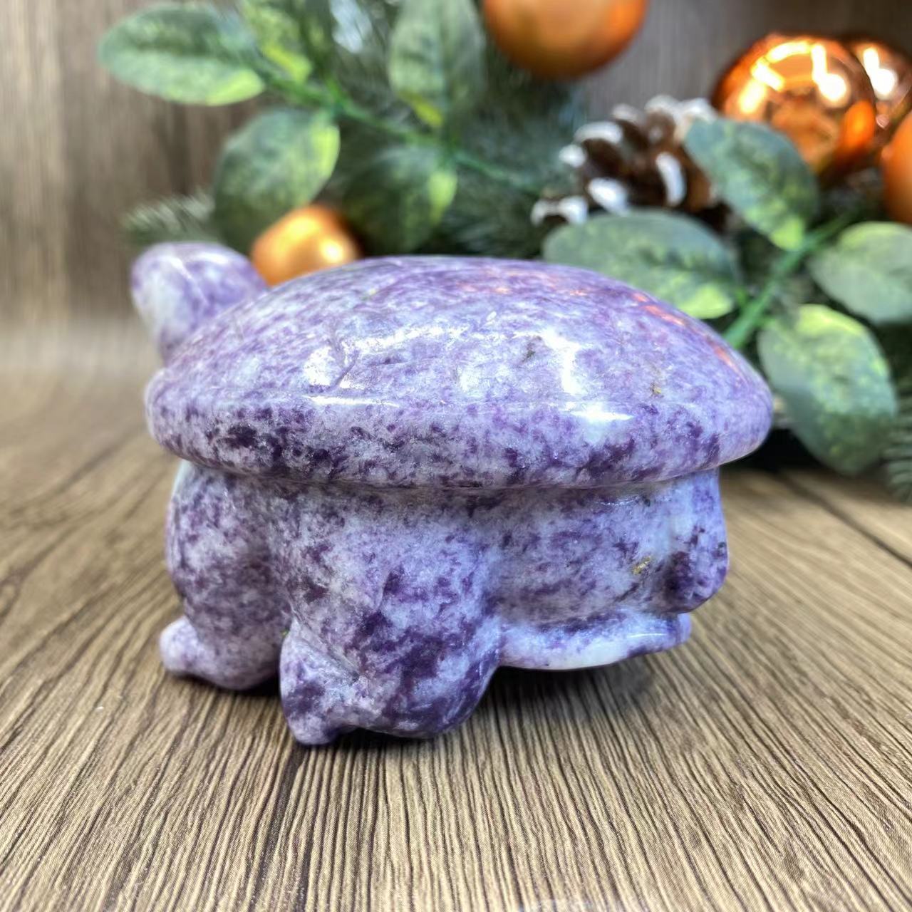 -天然の鱗翅目亀 12*9*6cm 1.5ポンド