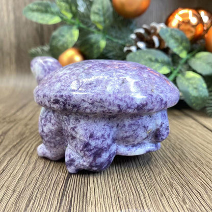 -天然の鱗翅目亀 12*9*6cm 1.5ポンド