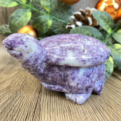 -天然の鱗翅目亀 12*9*6cm 1.5ポンド