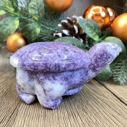 -天然の鱗翅目亀 12*9*6cm 1.5ポンド