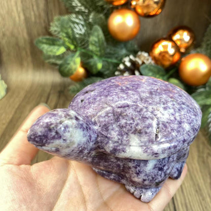 -天然の鱗翅目亀 12*9*6cm 1.5ポンド