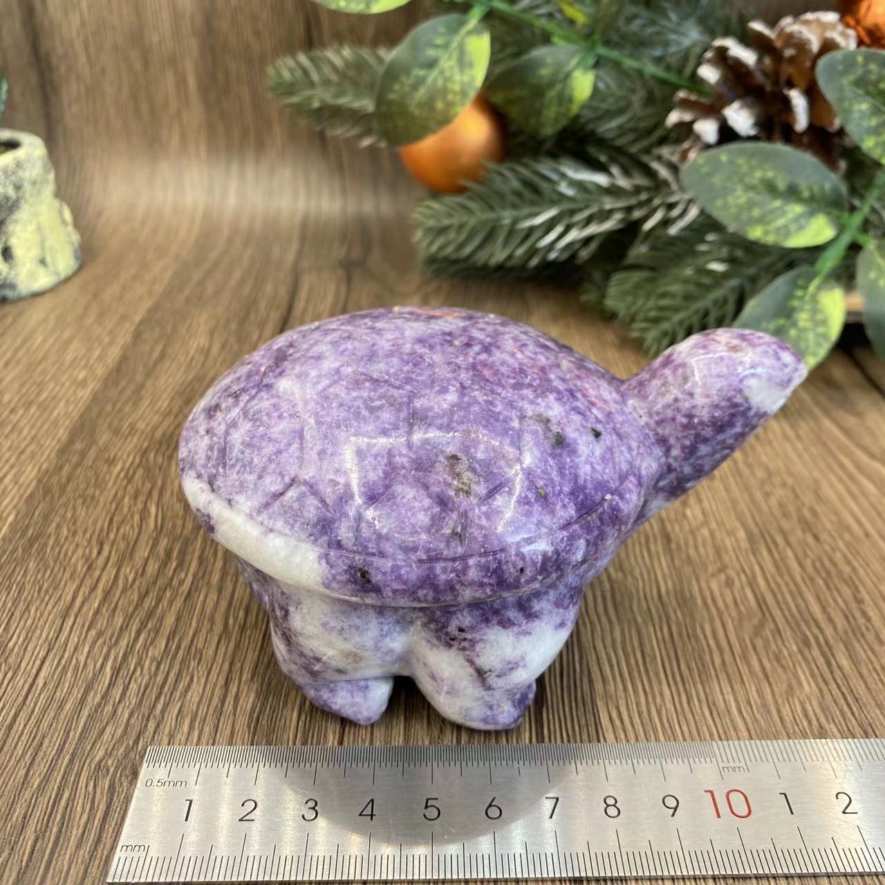 -天然の鱗翅目亀 12*9*6cm 1.5ポンド