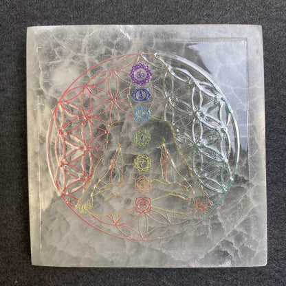 Tarot Card And Astrology Wheel - TikTok Special Offer