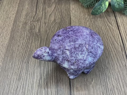 -天然の鱗翅目亀 12*9*6cm 1.5ポンド