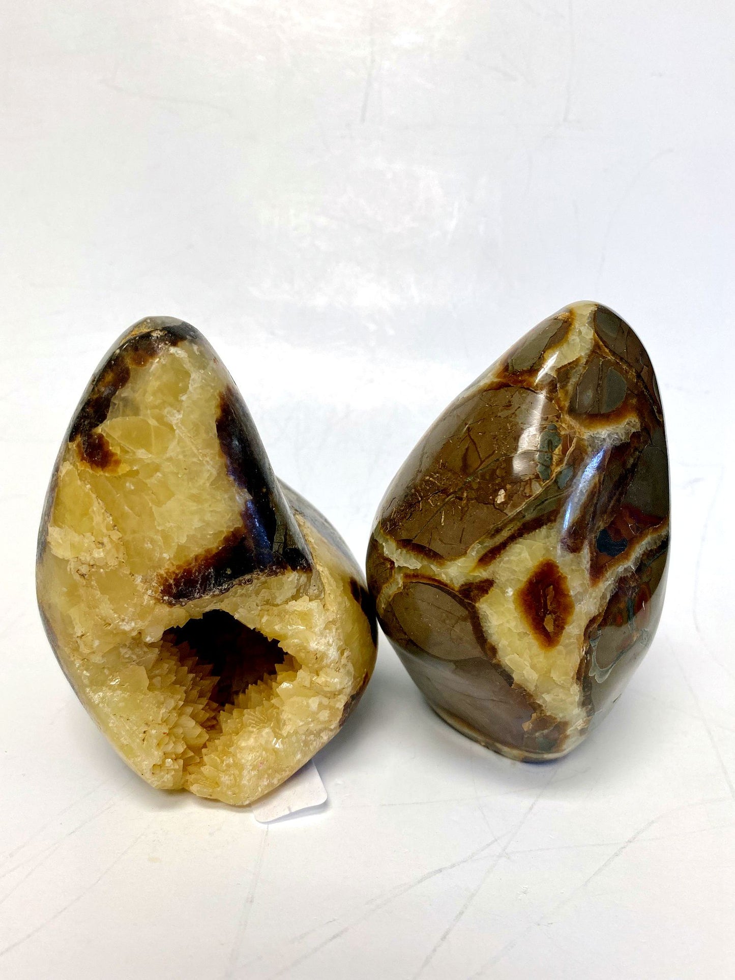 0.CD_Auc_Septarian Free Form Set