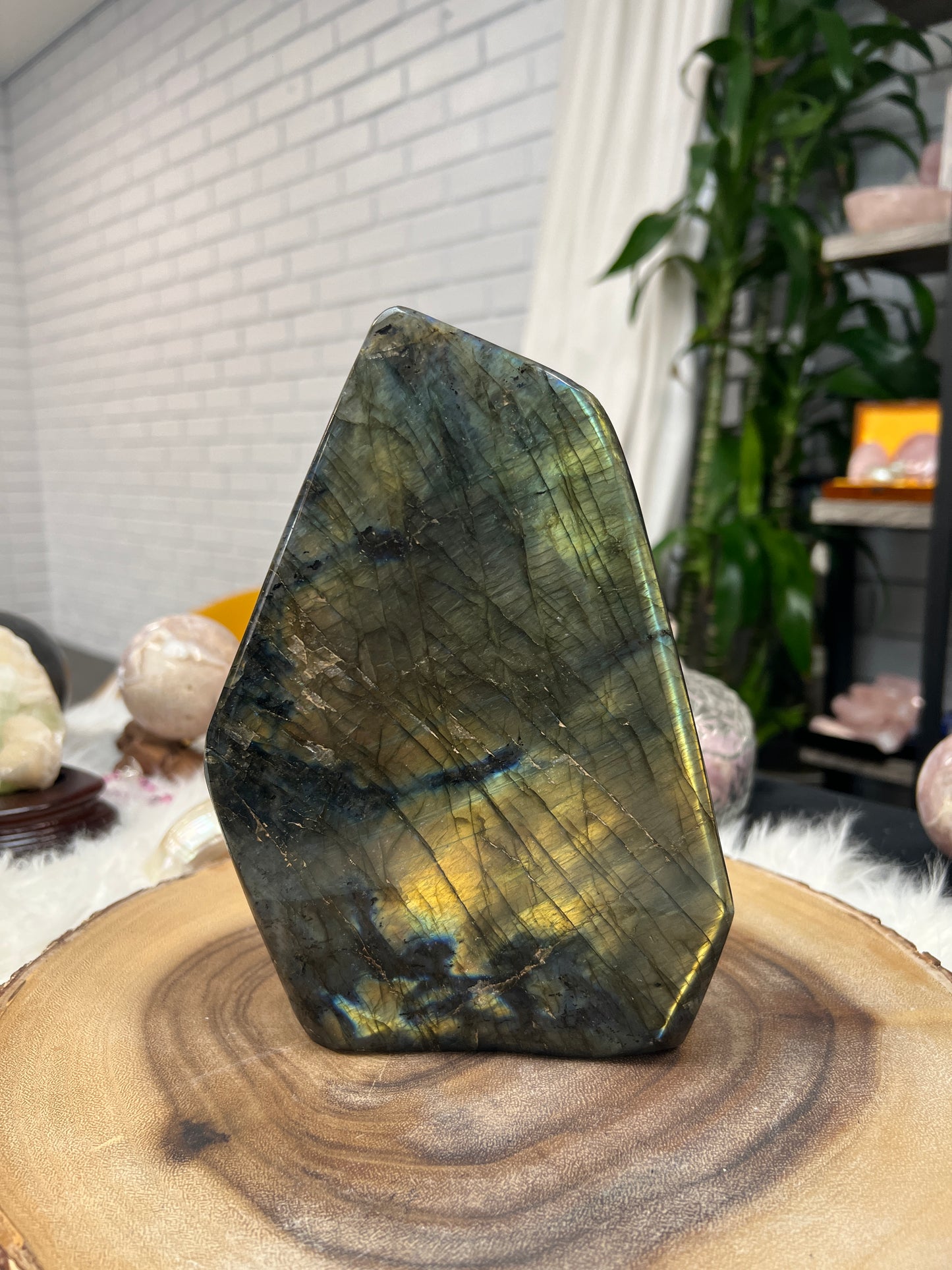Labradorite Slab